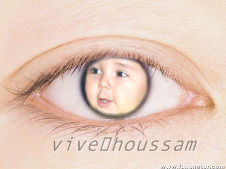 vive-